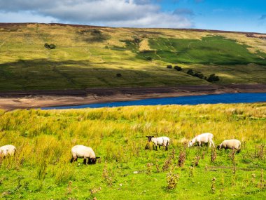 Kuzey Yorkshire, Nidderdale 'deki Scar House Reservoir.