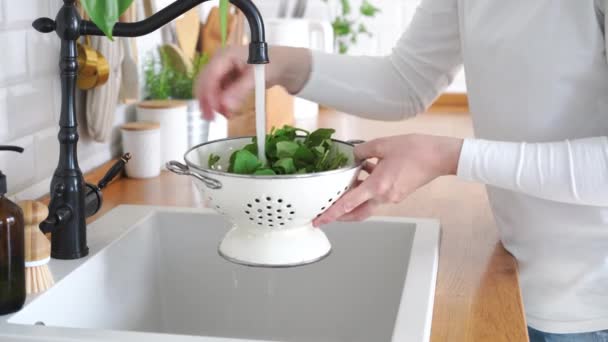 Vrouw Handen Wassen Arugula Bladeren Vergiet Hoge Kwaliteit Beeldmateriaal — Stockvideo