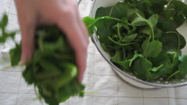 Washed Arugula Leaves Colander Kitchen Towel Drying High Quality Footage — Stock Video