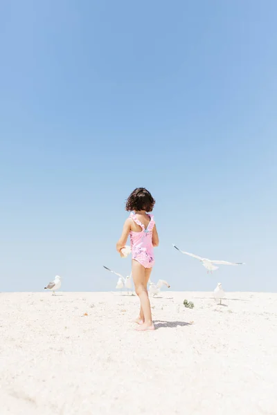 Щаслива Дівчина Купальнику Годує Чайок Пляжному Дні Зйомки Стилі Життя Стокова Картинка