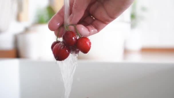 Τσέρι Γυναίκες Πλένουν Χέρια Φρέσκα Μούρα Κεράσι Νερό Υψηλής Ποιότητας — Αρχείο Βίντεο
