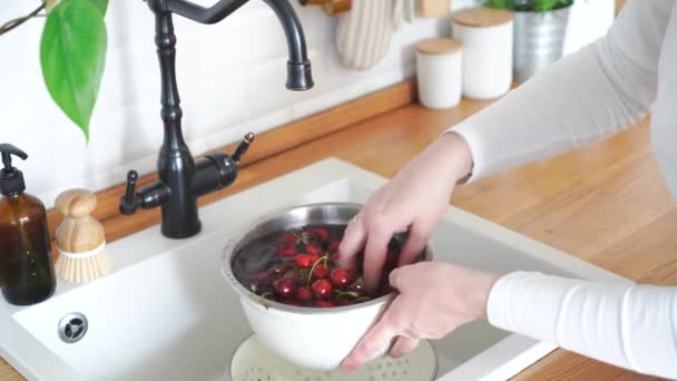 Τσέρι Γυναίκες Πλένουν Χέρια Φρέσκα Μούρα Κεράσι Νερό Υψηλής Ποιότητας — Αρχείο Βίντεο