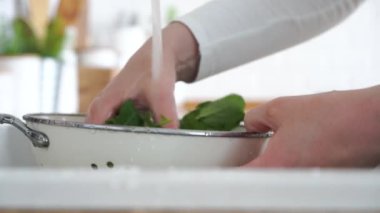 Kadın elleri roka yapraklarını kevgire yakın yıkıyor. Yüksek kalite 4k görüntü