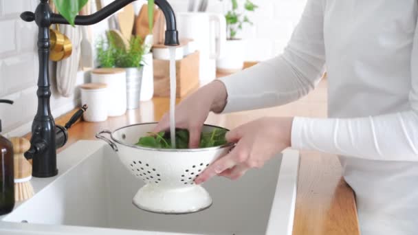 女人的手在香菜里洗牛油果叶高质量的4K镜头 — 图库视频影像