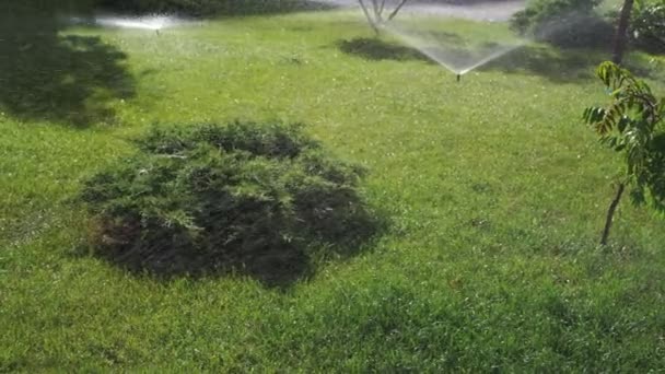芝生の自動散水緑の草 芝生の上で実行されているカクテルのスパニル 自動システムガーデンとスプリンクラー 灌漑システムの散水芝生の水 高品質4K映像 — ストック動画