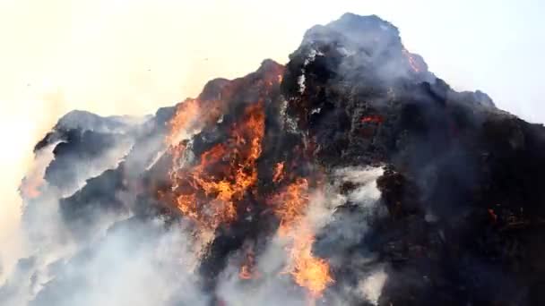 Égő Tűz Nyári Szezonban Szeméttelepen — Stock videók