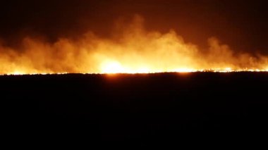 Geceleri ormanda yangın