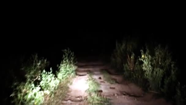 Caminhando Estrada Rural Noite Segurando Luz Tocha Nas Mãos — Vídeo de Stock