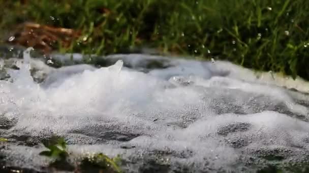 Тече Прісна Вода Водному Каналі Зрошення Полі — стокове відео