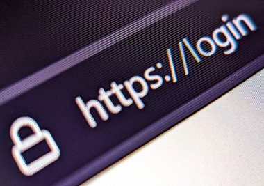 Closeup view of an internet web browser with a secure URL displayed on a pixelated screen
