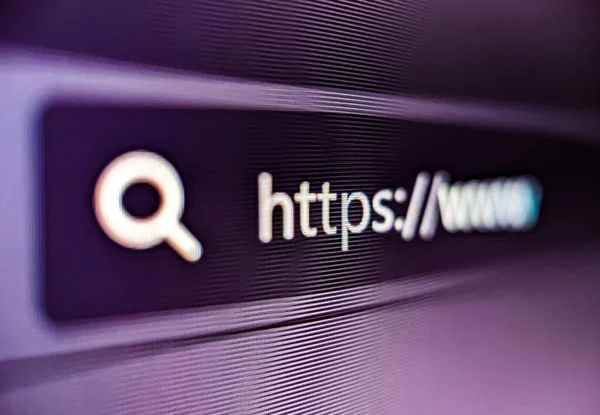 Pixelated closeup view of an internet browser address bar with https and search icon