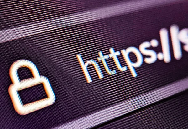 Pixelated closeup view of an internet browser search bar with https text and secure lock icon