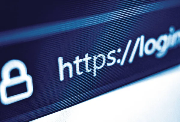 Pixelated closeup of an internet web browser search bar with https and security icon in blue