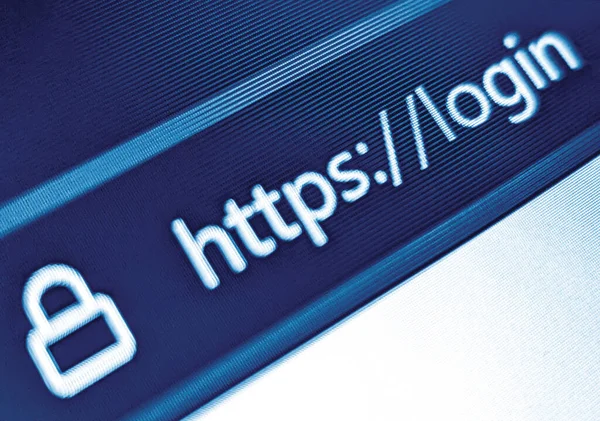 Closeup view of an internet web browser with a secure URL displayed on a pixelated screen in blue
