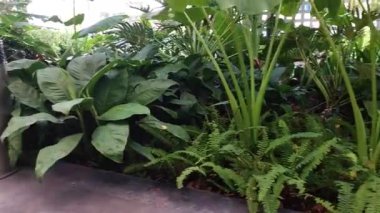 Kaydırma resimlerinde, bir kadın çöp kutusuna plastik bardak fırlatırken görülmüş..