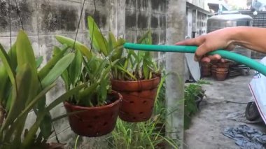 Saksılarda su püskürten bir hortum vardı..