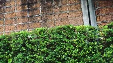 Duvarın arkasında kırmızı tuğlalı bir duvar var. Yanlamasına bir film..