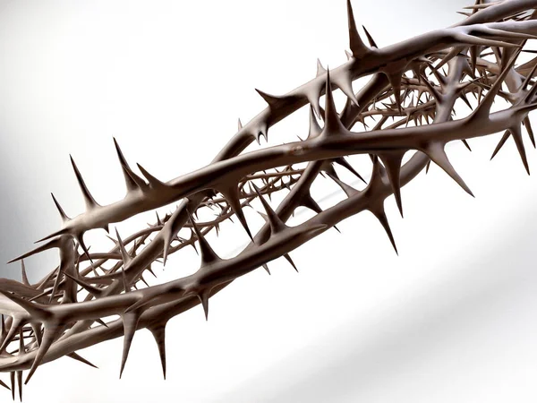 Branches of thorns woven into a crown depicting the crucifixion - 3D render