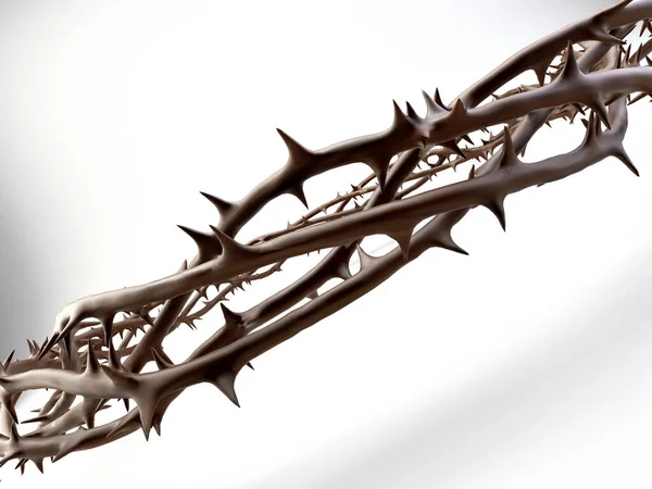 Branches of thorns woven into a crown depicting the crucifixion - 3D render