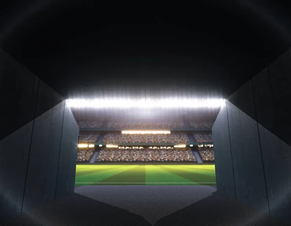 Gece Vakti Çimen Sahası Olan Bir Stadyumun Girişi Görüntüleme — Stok fotoğraf