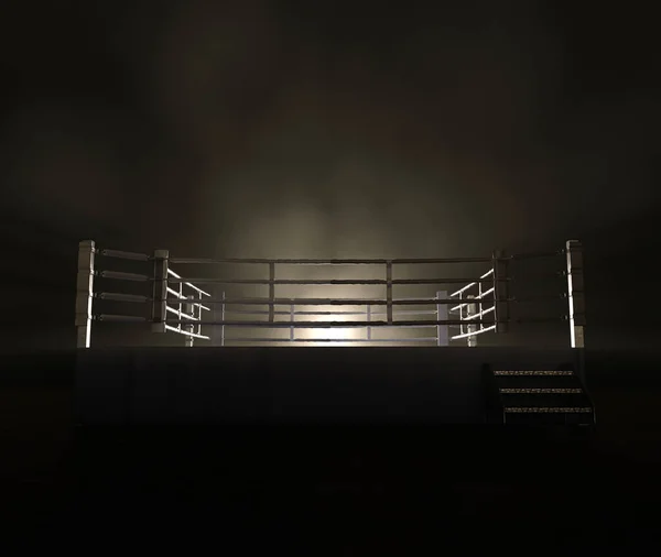 Moderní Boxerský Prsten Protichůdnými Modrými Červenými Rohy Podsvícenými Jasným Reflektorem — Stock fotografie