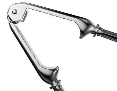 İzole edilmiş arka planda antika bir metal fındıkkıran - 3D görüntüleyici