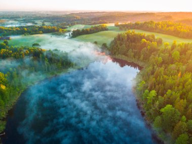 Majestic Morning: Kuzey Avrupa 'da Sunrise' da Ormandaki Sisli Göl 'ün İnsansız Hava Aracı Göz Görüntüsü
