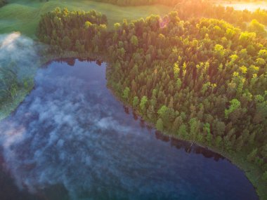 Majestic Morning: Kuzey Avrupa 'da Sunrise' da Ormandaki Sisli Göl 'ün İnsansız Hava Aracı Göz Görüntüsü