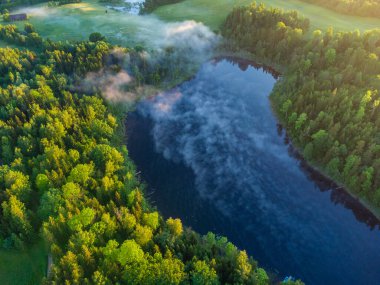 Majestic Morning: Kuzey Avrupa 'da Sunrise' da Ormandaki Sisli Göl 'ün İnsansız Hava Aracı Göz Görüntüsü