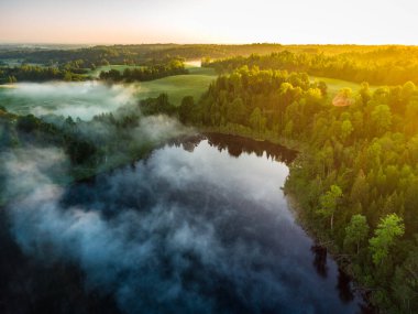 Majestic Morning: Kuzey Avrupa 'da Sunrise' da Ormandaki Sisli Göl 'ün İnsansız Hava Aracı Göz Görüntüsü
