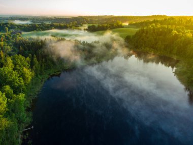 Majestic Morning: Kuzey Avrupa 'da Sunrise' da Ormandaki Sisli Göl 'ün İnsansız Hava Aracı Göz Görüntüsü