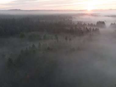 Majestic Morning: Kuzey Avrupa 'da Gündoğumunda Puslu Orman ve Nehir Büyüleyici Hava Görüntüsü