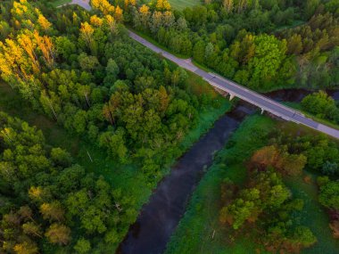 Majestic Morning: Kuzey Avrupa 'da Gündoğumunda Puslu Orman ve Nehir Büyüleyici Hava Görüntüsü