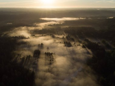 Majestic Morning: Kuzey Avrupa 'da Gündoğumunda Puslu Orman ve Nehir Büyüleyici Hava Görüntüsü