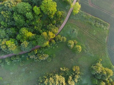 Kuzey Avrupa 'nın yemyeşil yeşil manzarasının mistik Gündoğumu Drone Manzarası