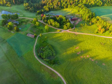 Kuzey Avrupa 'nın yemyeşil yeşil manzarasının mistik Gündoğumu Drone Manzarası