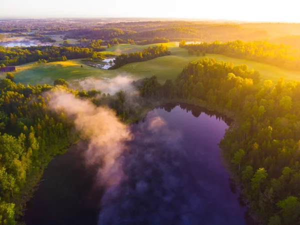 stock image Majestic Morning: A Drone's Eye View of a Misty Lake in the Woods at Sunrise in Northern Europe