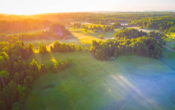 stock image Serene Sunrise: A lush green landscape with misty trees in the summer morning in Northern Europe