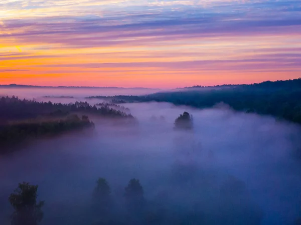 Drone Eye View Serene Sunrise Misty River Woodland Landscape Northern — 图库照片