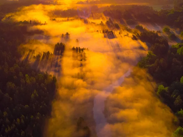 Drones Eye View Serene Sunrise Misty River Woodland Landscape Northern — 스톡 사진
