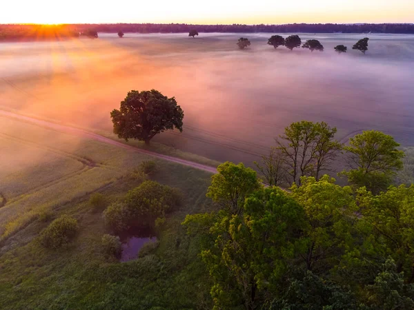 stock image Majestic Sunrise Over a Serene Drone Landscape of Northern Europe