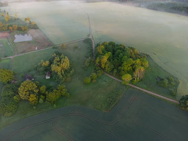 Mistyczny Wschód Słońca Drone Widok Bujny Zielony Krajobraz Europy Północnej — Zdjęcie stockowe