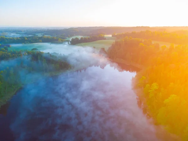 雄大な朝 北ヨーロッパの日の出に森の中の霧の湖のドローンの目のビュー ロイヤリティフリーのストック写真