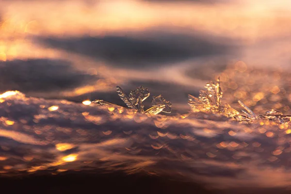 Forgylt Vinter Translucent Ice Awakens Golden Sunrise Northern Europe – stockfoto