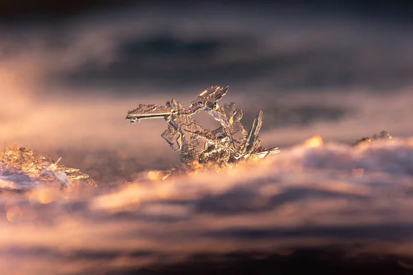 金の冬 北ヨーロッパの黄金の日の出で半透明の氷が目覚める — ストック写真