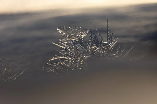 Invierno Dorado Despierta Hielo Translúcido Amanecer Oro Norte Europa —  Fotos de Stock