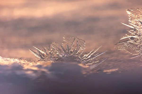 金の冬 北ヨーロッパの黄金の日の出で半透明の氷が目覚める — ストック写真