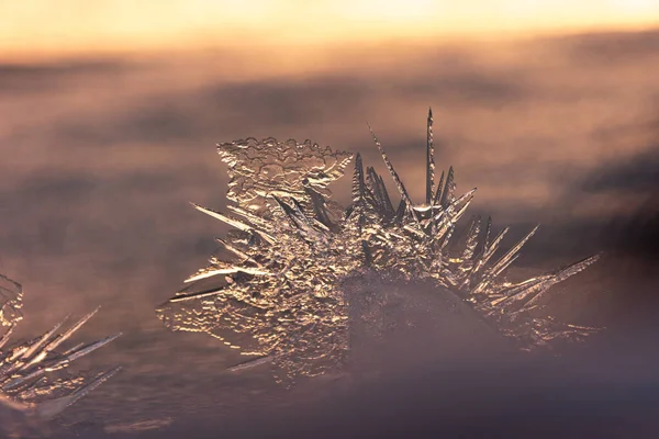 镀金的冬季 北欧金色日出中的半透明冰醒 — 图库照片