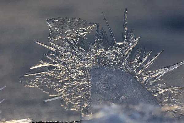 Золотая Зима Пробуждается Прозрачный Лед Золотом Восходе Северной Европе — стоковое фото