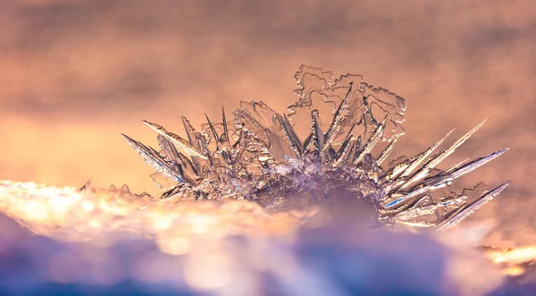 Invierno Dorado Despierta Hielo Translúcido Amanecer Oro Norte Europa — Foto de Stock